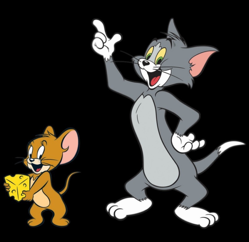 Tom Jerry Cartoon Free Download - cleverxl